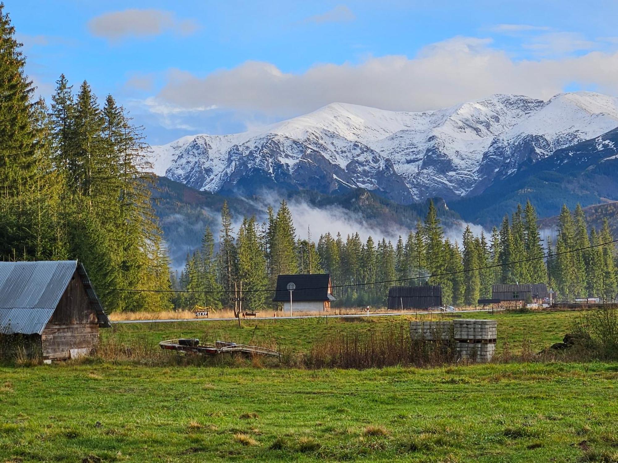 Domek Drewniany Krokus Witów Dış mekan fotoğraf