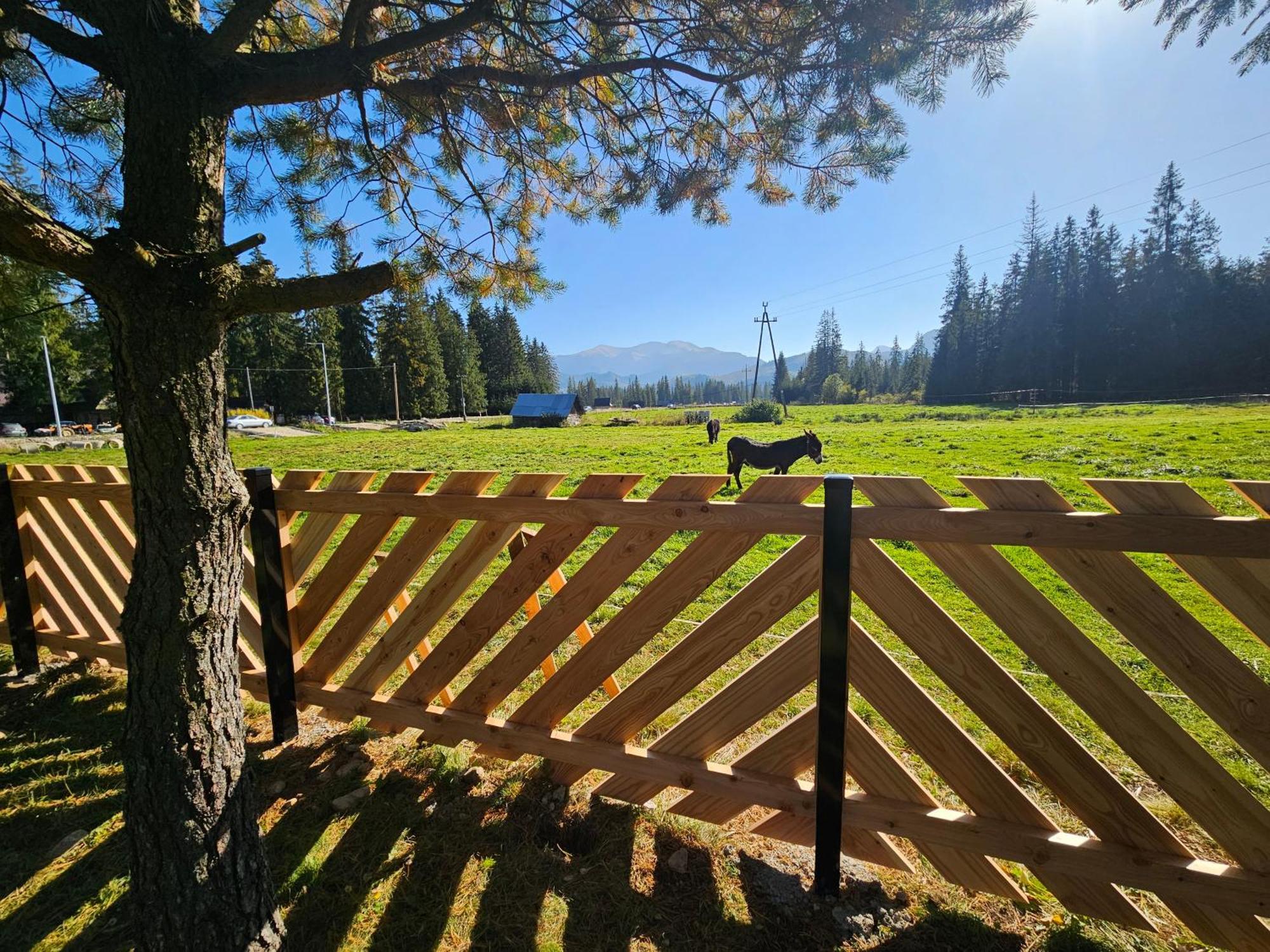 Domek Drewniany Krokus Witów Dış mekan fotoğraf