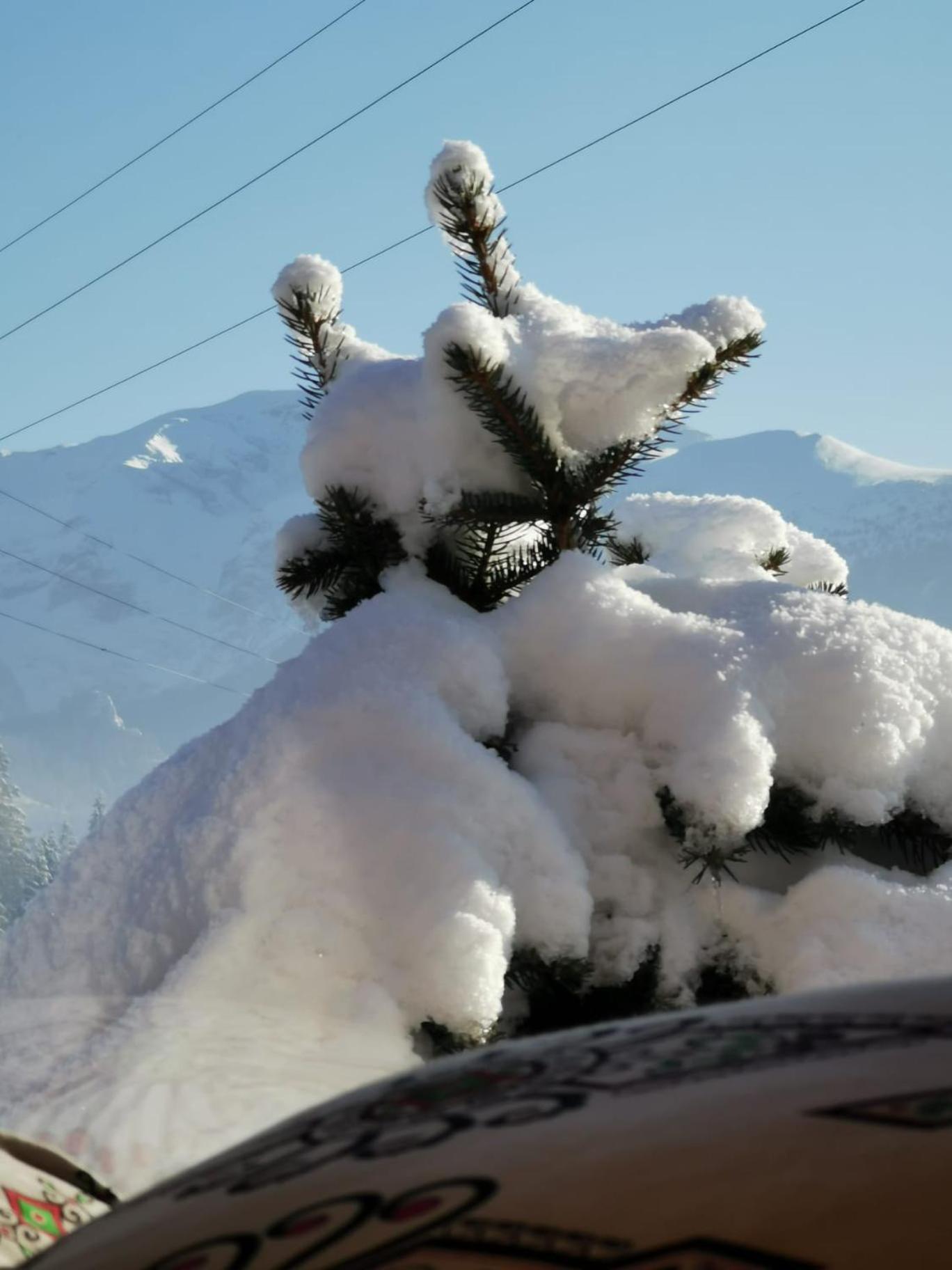 Domek Drewniany Krokus Witów Dış mekan fotoğraf