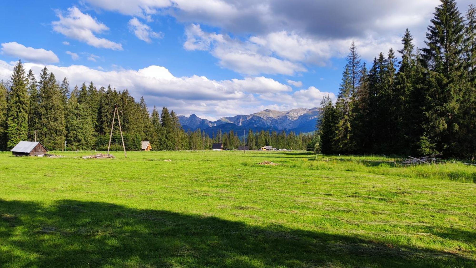 Domek Drewniany Krokus Witów Dış mekan fotoğraf